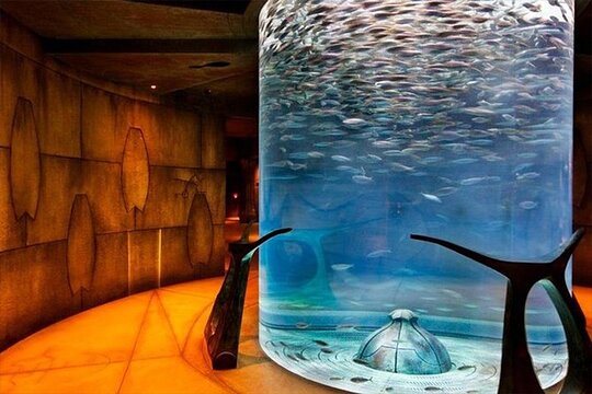 Tour image 6